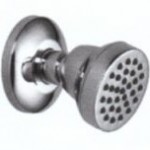 Shower (jet), color: Chrome material: Brass surface: Glossy Wall-mounted shower heads