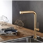 Μπαταρία κουζίνας επικαθήμενη από ορείχαλκο με ντους brushed gold, χρώμα: Χρυσό επιφάνεια: Βουρτσισμένη Επικαθήμενες