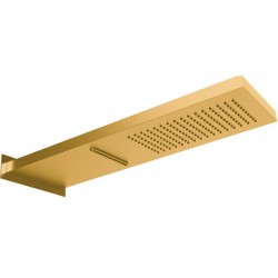 Κεφαλή ντους επίτοιχος τύπος 19x54 από inox 2 ροών brushed gold, χρώμα: Χρυσό επιφάνεια: Βουρτσισμένη Κεφαλές ντους