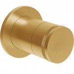Diverter for concealed shower tap Wall-mounted - external part material: Brass 2 way, color: Gold surface: Brushed Diverters - external part