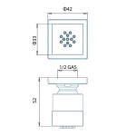 Shower (jet) 4,2x4,2, color: White material: Brass surface: Matt Wall-mounted shower heads