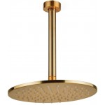 Shower head Ceiling-mounted 20x20 material: Inox, style: 1 spray, color: Gold surface: Brushed Overhead showers