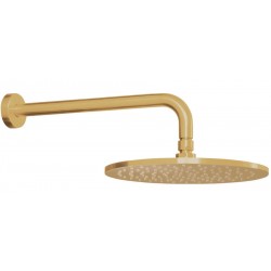 Shower head Wall-mounted 25x25 material: ABS, style: 1 spray, color: Gold surface: Brushed