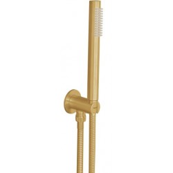 Shower head W/ hose, holder and outlet elbow 1 jet brushed gold, color: Gold surface: Brushed Hand showers