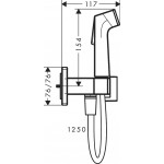 Bidet system Mixing material: Brass, color: Chrome surface: Glossy Wall-mounted bidet hand shower systems Bidet system Mixing material: Brass, color: Chrome surface: Glossy Wall-mounted bidet hand shower systems