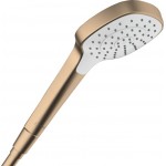 Shower head 1 jet, color: Bronze surface: Brushed Hand showers