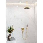 Shower head 1 jet 100, Baton, polished gold optic, color: Black/Gold surface: Glossy Hand showers Shower head 1 jet 100, Baton, polished gold optic, color: Black/Gold surface: Glossy Hand showers