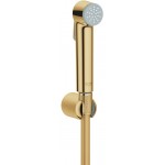 Bidet hand shower material: ABS, color: Gold surface: Glossy