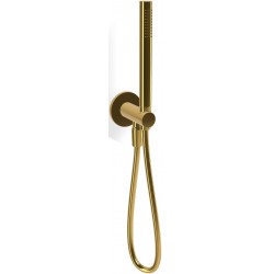 Shower head W/ hose, holder and outlet elbow 1 jet, color: Gold surface: Glossy Hand showers