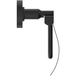 Paper holder with cover material: Brass silk black, color: Black surface: Matt Toilet paper holders