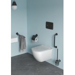 Paper holder with cover material: Brass silk black, color: Black surface: Matt Toilet paper holders