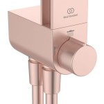 Shower slider rail with head material: Brass / Aluminum With diverter Rosé, color: Pink surface: Satin Shower rails with head Shower slider rail with head material: Brass / Aluminum With diverter Rosé, color: Pink surface: Satin Shower rails with head
