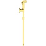 Bidet hand shower brushed gold material: ABS, color: Gold surface: Brushed Bidet hand shower