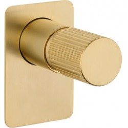 Μπαταρία ντουζιέρας εντοιχιζόμενη 1 εξόδου αναμεικτική από ορείχαλκο με πλακέτα κομπλέ, Light Gold Brushed, χρώμα: Χρυσό επιφάνεια: Βουρτσισμένη Εντοιχιζόμενες εξωτερικό μέρος