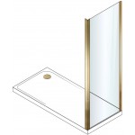 Shower enclosure Linear 80x200 6mm fixed brushed gold surface: Brushed, color: Gold Linear Shower enclosure Linear 80x200 6mm fixed brushed gold surface: Brushed, color: Gold Linear