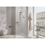 Shower slider rail 65cm material: Brass brushed bronze with hose, color: Bronze surface: Brushed Shower slider rails