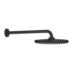 Shower head Wall-mounted 25x25 material: Brass, style: 1 spray, color: Black surface: Matt Overhead showers