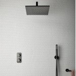 Τηλέφωνο ντους με σπιράλ & στήριγμα με παροχή 1 ροής Round, Brushed Black, χρώμα: Μαύρο επιφάνεια: Βουρτσισμένη Τηλέφωνα