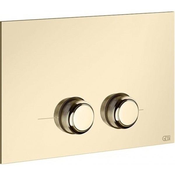 Flush wall plates for concealed cistern dual flush valve material: Metal Mechanical with string, color: Chrome surface: Glossy Flush plates Flush wall plates for concealed cistern dual flush valve material: Metal Mechanical with string, color: Chrome surface: Glossy Flush plates