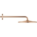 Κεφαλή ντους επίτοιχος τύπος 31x31 από ABS 1 ροής 310, & βραχίονα 42,2cm, Brushed Warm Sunset, χρώμα: Ροζ Χρυσό επιφάνεια: Βουρτσισμένη Κεφαλές ντους