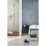 Floor tiles 59,7x119,7 Italy, style: mosaic 1st choice rettificato surface: Glossy, hue: Grey Plain tiles