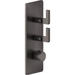 Shower tap Wall-mounted external part 2 way material: Brass thermostatic With plate with separate exits without hand shower, hose and holder, color: Black surface: Brushed Wall-mounted - external part