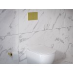 Πλακέτα εντοιχιζόμενου καζανακίου magnetic grey από ABS διπλής ενέργειας μηχανικά, χρώμα: Γκρι επιφάνεια: Βουρτσισμένη Πλακέτες