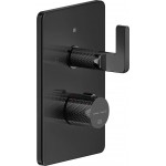 Shower tap Wall-mounted external part 2 way material: Brass thermostatic With plate without hand shower, hose and holder Black Metal PVD, color: Black surface: Glossy Wall-mounted - external part