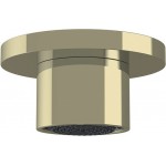 Shower (jet), color: Gold material: Brass surface: Glossy Wall-mounted shower heads