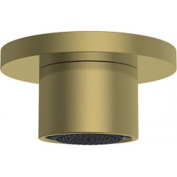 Shower (jet), color: Gold material: Brass surface: Brushed Wall-mounted shower heads