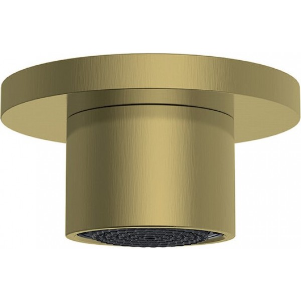 Shower (jet), color: Gold material: Brass surface: Brushed Wall-mounted shower heads Shower (jet), color: Gold material: Brass surface: Brushed Wall-mounted shower heads