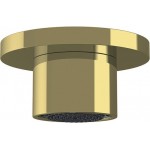 Shower (jet), color: Gold material: Brass surface: Glossy Wall-mounted shower heads Shower (jet), color: Gold material: Brass surface: Glossy Wall-mounted shower heads