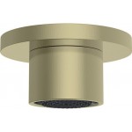 Shower (jet), color: Gold material: Brass surface: Brushed Wall-mounted shower heads Shower (jet), color: Gold material: Brass surface: Brushed Wall-mounted shower heads