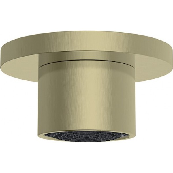 Shower (jet), color: Gold material: Brass surface: Brushed Wall-mounted shower heads Shower (jet), color: Gold material: Brass surface: Brushed Wall-mounted shower heads