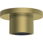 Shower (jet), color: Gold material: Brass surface: Brushed Wall-mounted shower heads Shower (jet), color: Gold material: Brass surface: Brushed Wall-mounted shower heads