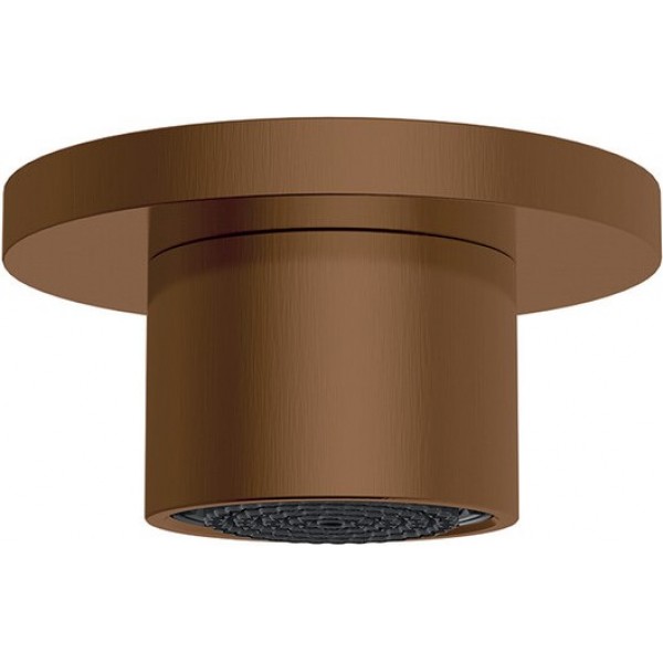 Shower (jet), color: Bronze material: Brass surface: Brushed Wall-mounted shower heads