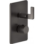 Shower tap Wall-mounted external part 1 way material: Brass thermostatic With plate without hand shower, hose and holder, color: Black surface: Brushed Wall-mounted - external part