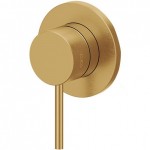 Shower tap Wall-mounted concealed - complete set 1 hole 1 way material: Inox mixer without hand shower, hose and holder AISI 316L, color: Gold surface: Brushed Wall-mounted - external part Shower tap Wall-mounted concealed - complete set 1 hole 1 way material: Inox mixer without hand shower, hose and holder AISI 316L, color: Gold surface: Brushed Wall-mounted - external part