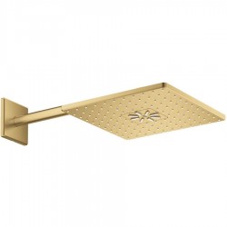 Shower head Wall-mounted 31x31 material: Brass, style: 1 spray, color: Gold surface: Brushed Overhead showers