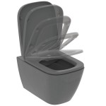 Wall-mounted toilet & toilet seat soft closing, style: Wrapover hidden fixation Rimless Glossy Grey 54x35,5 surface: Glossy, color: Grey Wall-mounted