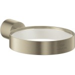 Βάση για επίτοιχα αξεσουάρ Brushed Nickel από ορείχαλκο επιφάνεια: Βουρτσισμένη, χρώμα: Χρωμέ Σαπουνοθήκες Βάση για επίτοιχα αξεσουάρ Brushed Nickel από ορείχαλκο επιφάνεια: Βουρτσισμένη, χρώμα: Χρωμέ Σαπουνοθήκες