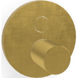 Shower tap Wall-mounted external part 2 way material: Brass mixer With plate without hand shower, hose and holder Brushed Gold, color: Gold surface: Brushed Wall-mounted - external part