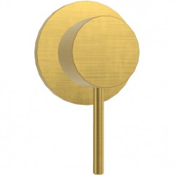 Shower tap Wall-mounted external part 1 hole 1 way material: Brass mixer without hand shower, hose and holder Brushed Gold, color: Gold surface: Brushed Wall-mounted - external part