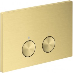Flush wall plates for concealed cistern Actuation dual flush valve material: Brass, color: Gold surface: Brushed Flush plates
