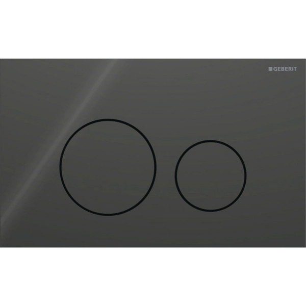 Flush wall plates for concealed cistern Actuation dual flush valve material: Crystal, color: Black surface: Glossy Flush wall plates for concealed cistern Actuation dual flush valve material: Crystal, color: Black surface: Glossy
