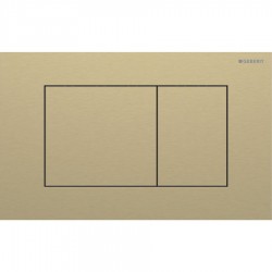 Flush wall plates for concealed cistern dual flush valve material: Inox Mechanical with string, color: Gold surface: Brushed Flush plates