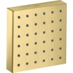 Shower (jet), color: Gold material: Brass surface: Brushed Wall-mounted shower heads Shower (jet), color: Gold material: Brass surface: Brushed Wall-mounted shower heads