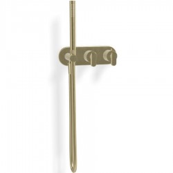 Μπαταρία ντουζιέρας εντοιχιζόμενη εξωτερικό μέρος 2 εξόδων από ορείχαλκο θερμοστατική με πλακέτα με τηλέφωνο, σπιράλ, στήριγμα Brushed Champagne, χρώμα: Χρυσό επιφάνεια: Βουρτσισμένη
