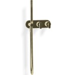 Shower tap Wall-mounted external part 2 way material: Brass thermostatic with hand shower, hose and holder With plate, color: Gold surface: Glossy