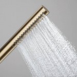 Τηλέφωνο ντους 1 ροής Ecosmart, Brushed Bronze, χρώμα: Μπρονζέ επιφάνεια: Βουρτσισμένη Τηλέφωνα